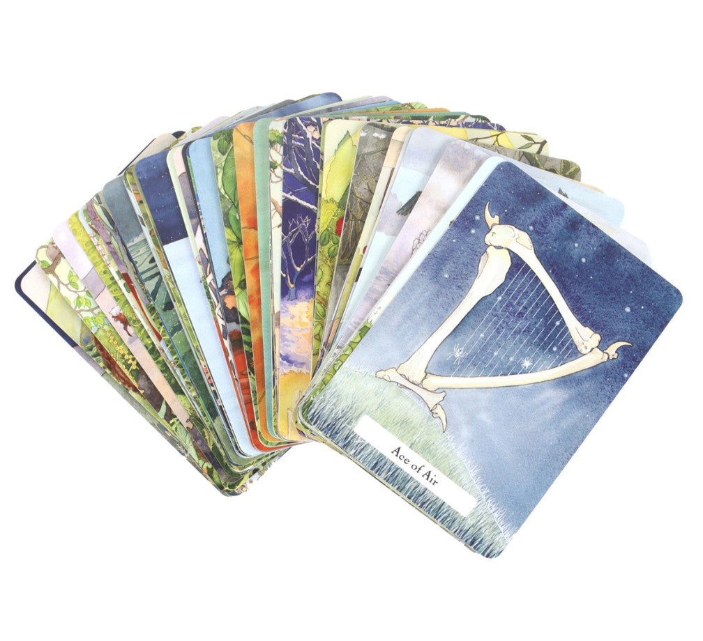 The Witches' Wisdom Tarot cards displayed in a fan showing colourful nature artwork